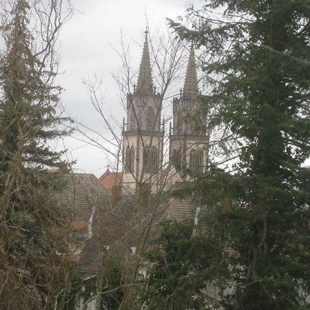 Ferienwohnung Mit Aegidienblick Oschatz Zewnętrze zdjęcie